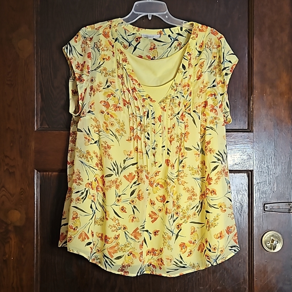 Pale Sky 2-Piece Floral Blouse - Size 1X